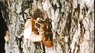 Институт Муди - 2 Тайна трёх часов