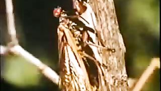 Институт Муди - 2 Тайна трёх часов