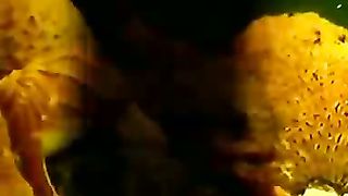 Институт Муди - 4 Голос глубины