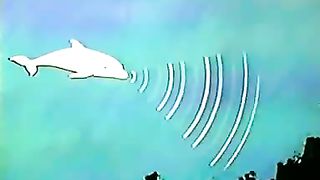 Институт Муди - 4 Голос глубины