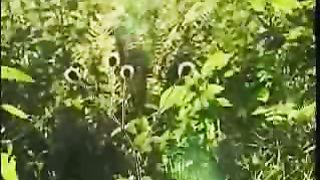 О жизни епископа Ивана Федотов