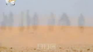 Библейские Тайны: Иосиф и его разноцветная одежда