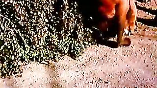 Институт Муди - 6 Окна души