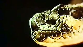 Институт Муди - 7 Первичное право