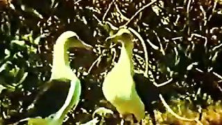 Институт Муди - 7 Первичное право