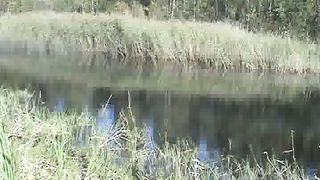 Наталии Лансере - Лилия