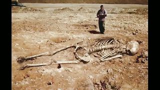 Ложь во имя науки