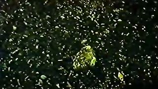 Институт Муди - 10 Путешествие жизни