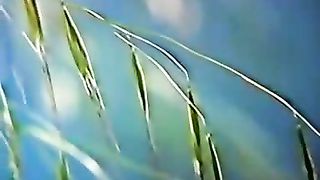 Институт Муди - 10 Путешествие жизни