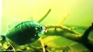 Институт Муди - 10 Путешествие жизни