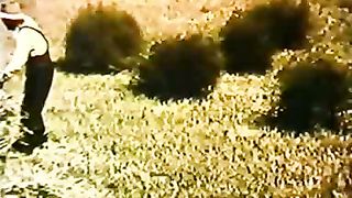 Институт Муди - 10 Путешествие жизни