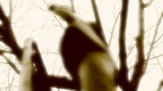 Твоє Життя Выпуск 034. Прощення