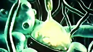 Институт Муди - 11 Существо человеческое