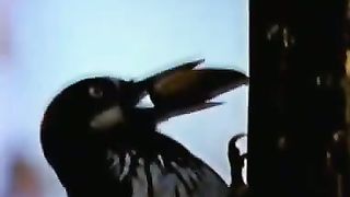 Институт Муди - 13 Плотник с лицом клоуна