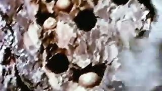 Институт Муди - 13 Плотник с лицом клоуна