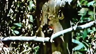 Институт Муди - 13 Плотник с лицом клоуна