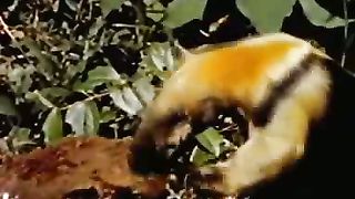 Институт Муди - 15 Кто их этому научил