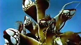 Институт Муди - 15 Кто их этому научил