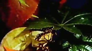 Институт Муди - 15 Кто их этому научил