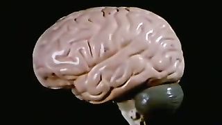 Институт Муди - 16 Чудо в нас самих