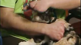 Spirit Of Adoption — Служение Еммануил - Папочка