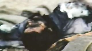 Найден Ноев ковчег