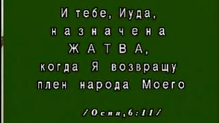Василий Савич - Ты будешь жать