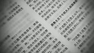 Библия в майке свидетельство