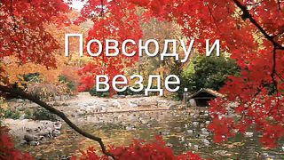 На юг на запад на восток