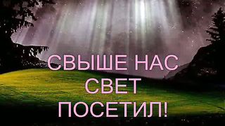 Тихая ночь Дивная ночь