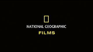 Мишка на Севере. Животный мир (2007)