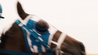 Чемпион Секретариат (2010)