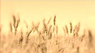 Василий Савич - Восстановление разрушенной стены