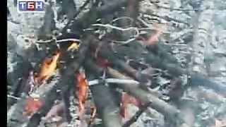 Иосиф и его братья Свидетельства Цыган