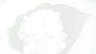 С 8 марта дорогие и любимые сестры