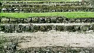 Утраченные Боги 3 и 4ч Докум фильм