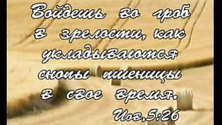 Василий Савич - День зрелости 1