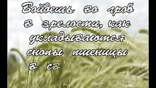 Василий Савич - День зрелости 2