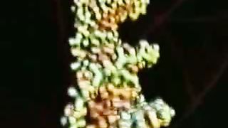 Раскрывая тайну жизни - документальный фильм