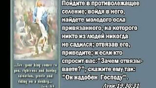 Василий Савич - Он надобен Господу