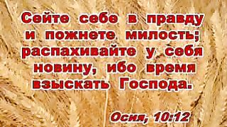 Василий Савич - Текел текел