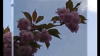 Игорь Азанов - Общественная и личная жизнь