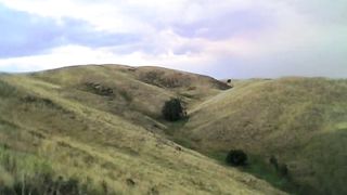 Жизнь задает задачи сложные