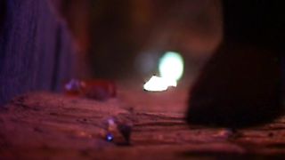 Історія життя Рустама Фатулаєва