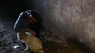 Батюшка (2008) 5