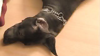 классные уроки 6