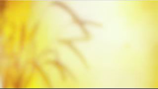 Василий Савич - Пустые споры