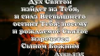 Василий Савич - От семени Его