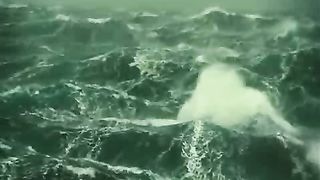 Скрой меня своим крылом