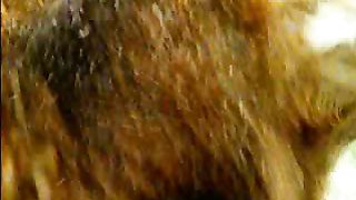 BBC Дневник большой кошки 1 сезон 2